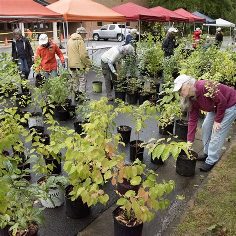 Charlottesville Area Tree Stewards Promoting The Urban Forest