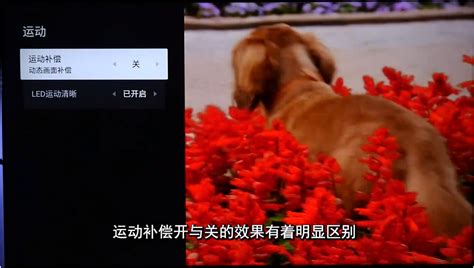 Tcl Q10g拖影是真的吗？真机实测：原来片源和运动补偿是罪魁祸首 知乎