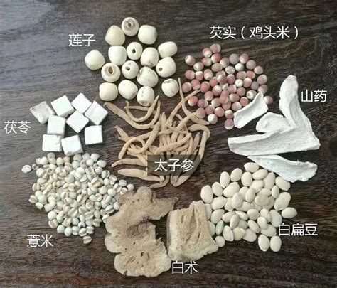 八珍健脾粉配方选料和制作方法 知乎