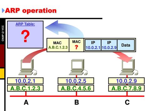 Ppt Semester 1 Chapter 11 Powerpoint Presentation Free Download Id