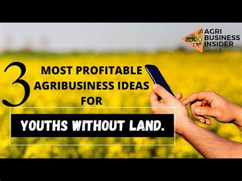 3 Most Profitable Agribusiness Ideas For YOUTHS WITHOUT LAND How To