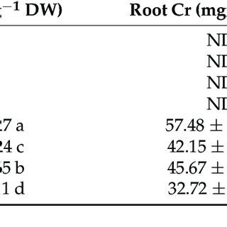 Effect Of KN And GA3 On Cr Accumulation By Shoot And Root And