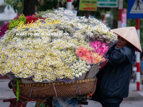 Discover Hanoi What To Do In Hanoi Blog