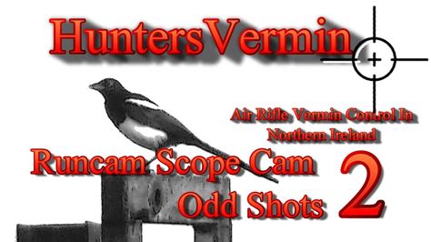 Air Rifle Hunting Runcam Scope Cam Odd Shots 2 YouTube