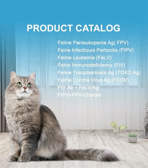 Goodoctor High Quality Feline Parvovirus Infectious Peritonitis Giardia