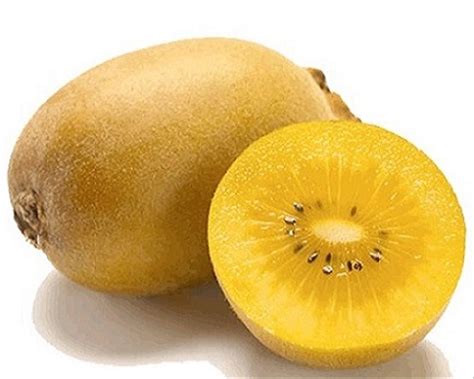 Jual Bibit Buah Kiwi Gold Jumbo Di Lapak Petani Bibit Mundir Petanibibit