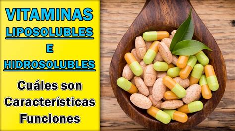 Vitaminas Liposolubles E Hidrosolubles Cu Les Son Caracter Sticas