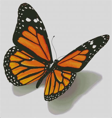 Monarch Butterfly Counted Cross Stitch Pattern Digital Pdf Etsy