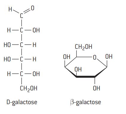 D Galactose Fischer Projection