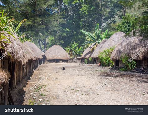 Honai Papua Roundshaped House Roof Made Stock Photo 2222484601 ...