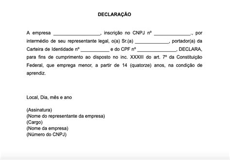 Como fazer uma declaração de trabalho 15 modelos prontos