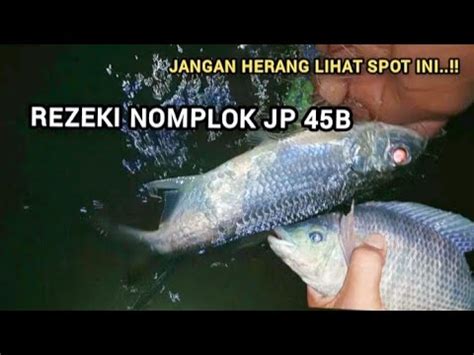 Baru Pertama Kali Lihat Ikan Sebesar Ini BERBURU IKAN DI MALAM HARI