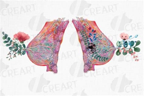 Floral Female Breast Watercolour Anatomy Gr Fico Por Creartgraphics