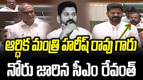 ఆర్ధిక మంత్రి హరీష్ రావు అంటూ నోరు జారిన సీఎం రేవంత్ రెడ్డి Cm Revanth Reddy Harish Rao