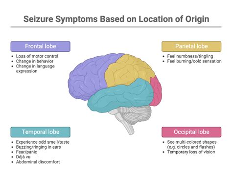 seizure symptoms based  location  origin biorender science templates