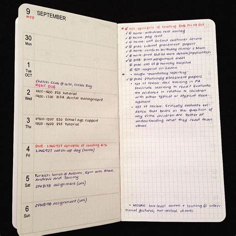 Dee Quine On Instagram Sample Layout With Some Early Bullet Journal