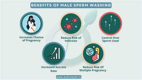 Exploring The Benefits Of Male Sperm Washing For Intrauterine