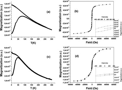 Superparamagnetic Iron Oxide Nanoparticles Stabilized By A Poly