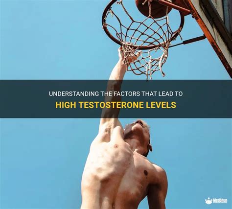 Understanding The Factors That Lead To High Testosterone Levels Medshun