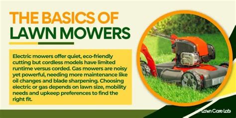 Electric Vs Gas Lawn Mowers Discovering Your Ideal Lawn Care Solution