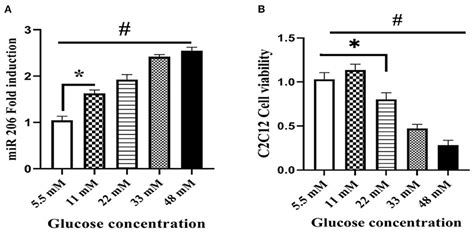 Frontiers High Intensity Interval Training Improves Cardiac Function