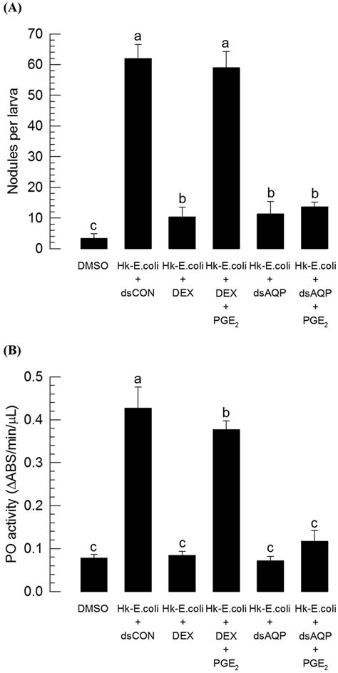 Influence Of RNAi Treatment Of Se AQP On Nodulation And Phenoloxidase