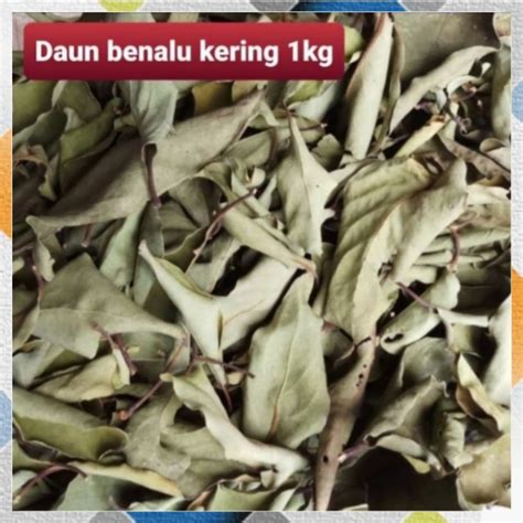 Jual Daun Benalu Kering Kg Shopee Indonesia