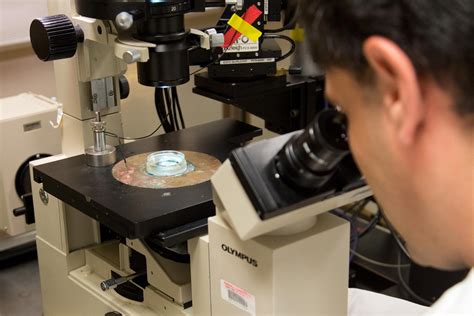 Optical Imaging and Analysis Lab | Biointerfaces Institute / University of Michigan