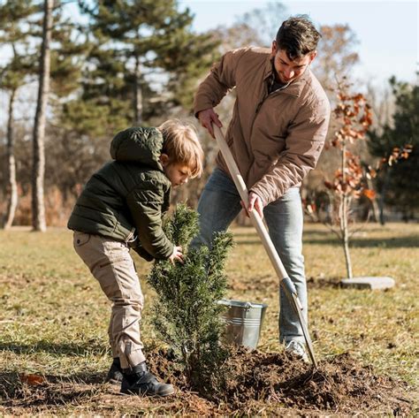 Père Et Fils Plantant Un Arbre Ensemble Photo Gratuite