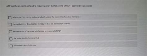 Solved ATP synthesis in mitochondria requires all of the | Chegg.com 