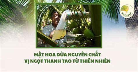 Mật Hoa Dừa Nguyên Chất Vị Ngọt Thanh Tao Từ Thiên Nhiên Mật Hoa Dừa