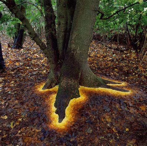 Site-Specific Land Art by Andy Goldsworthy are Ephemeral Earthworks