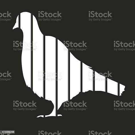 Pigeon In Prison向量圖形及更多2015年圖片 2015年 一起 大自然 Istock