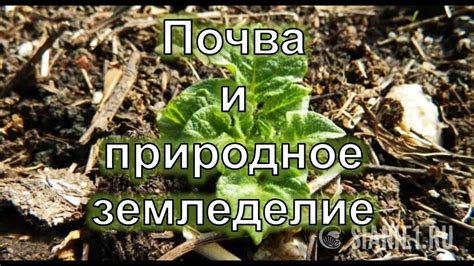Почва и природное земледелие - YouTube