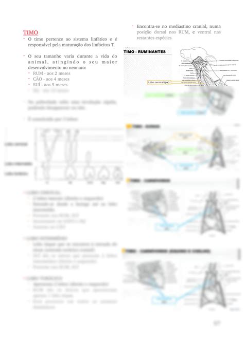 SOLUTION Anatomia Veterinaria Iii Cavidade Toracica Studypool