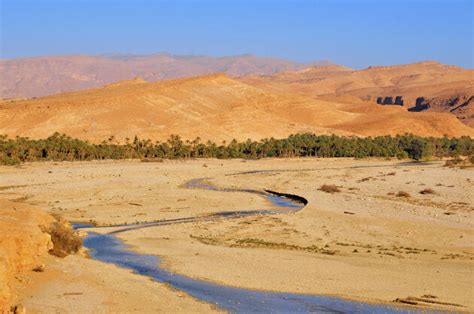 El Magazin de Merlo CAMBIO CLIMÁTICO El hombre que detuvo al desierto