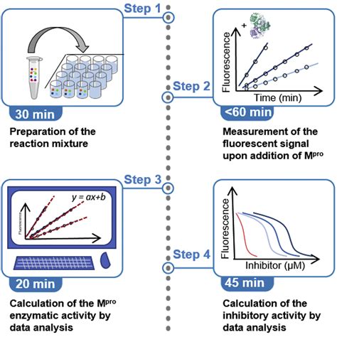 Cell Press STAR Protocols