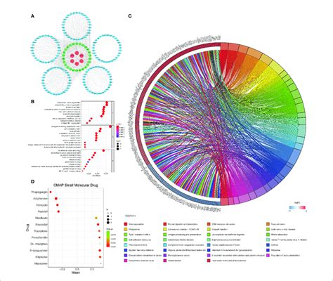 A The Cerna Network Of The Six M6a Related Lncrnas Red And Their Download Scientific