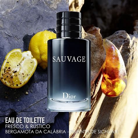 Perfume Christian Dior Sauvage Eau De Toilette Masculino Perfume