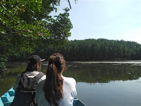 Can Gio Mangrove Forest Hand-Row - Free photo on Pixabay - Pixabay