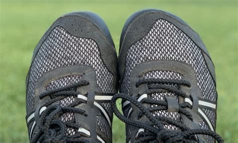 Xero Shoes Terraflex Review • Spotter Up