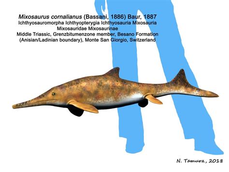 Mixosaurus