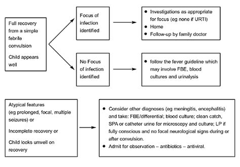 Clinical Practice Guidelines : Febrile Convulsions Flowchart