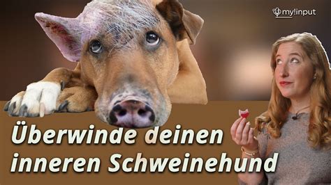 Überwinde deinen inneren Schweinehund Vorsätze für 2023 YouTube