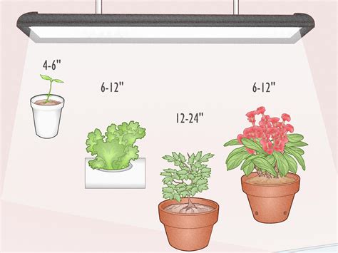 Can LED Lights Grow Plants Regular LED Lights Vs Grow Lights