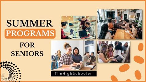 8 Summer Programs For High School Seniors To Apply - TheHighSchooler