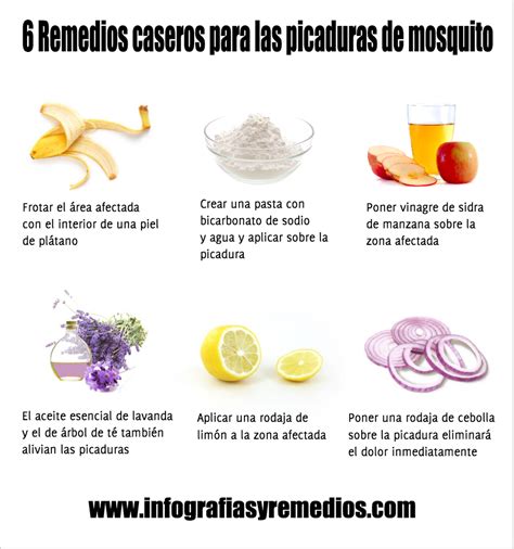 6 Remedios caseros para las picaduras de mosquito Infografías y Remedios