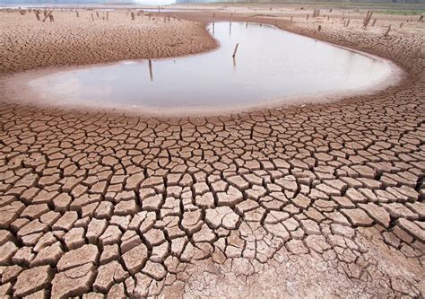 Ola De Calor Aumenta Problemas De Sequ A En Espa A