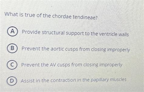 Solved What Is True Of The Chordae Tendineaeprovide