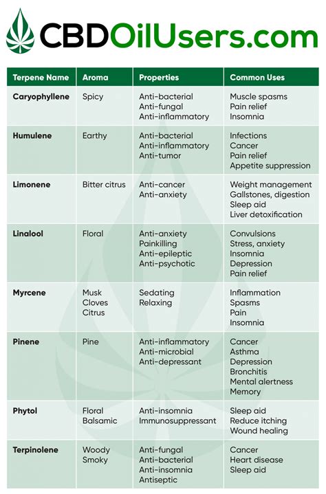 The Best Cbd Oil For Anxiety Buyers Guide For 2024 Cbd Oil Users